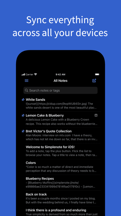 Simplenote screenshot 2