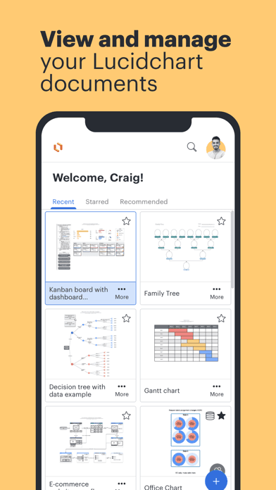 Lucidchart screenshot 1