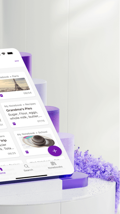 Microsoft OneNote screenshot 2