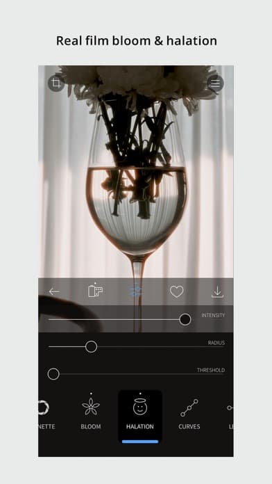RNI Films: Photo & RAW Editor screenshot 3