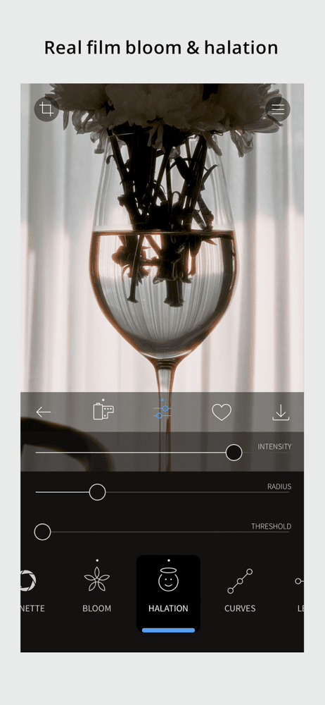 RNI Films: Photo & RAW Editor screenshot 3