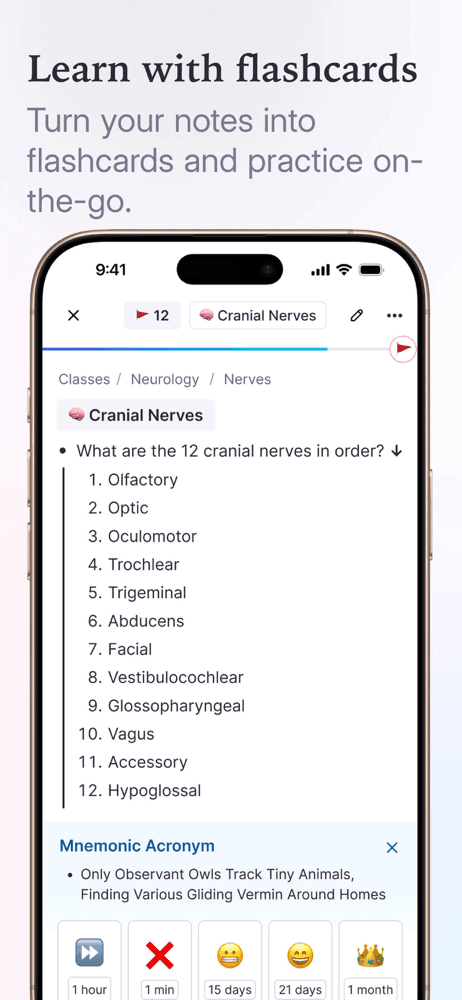 RemNote - Notes & Flashcards screenshot 3