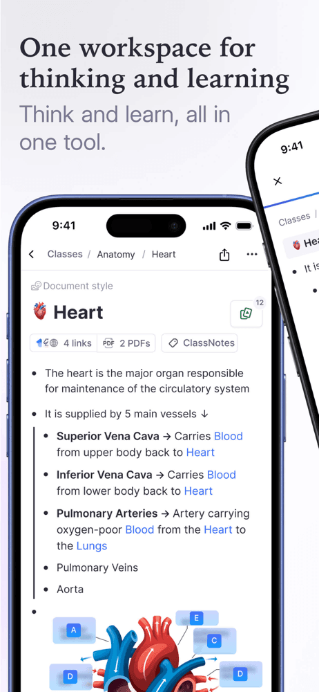 RemNote - Notes & Flashcards screenshot 1