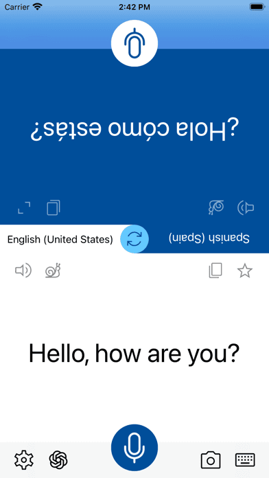 Instant Voice Translate screenshot 1